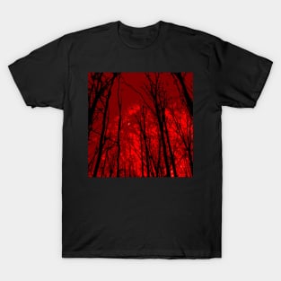 Purgatory Woods T-Shirt